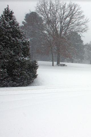 Snow Scene, Arkansas 