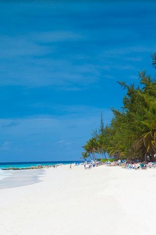 White Sand on Barbados Beach