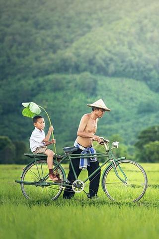 Bicycle, Cambodia