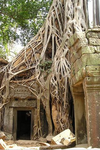 Angkor Wat, Cambodia