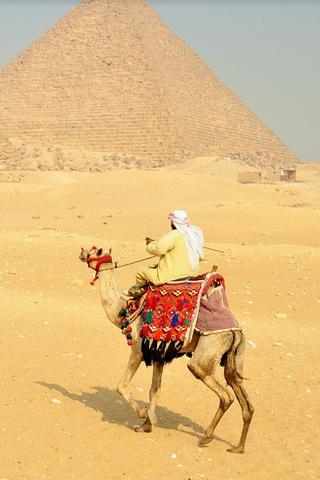 Camel riding in Egypt