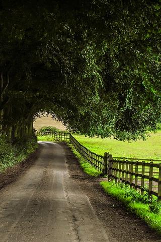 Farm, England