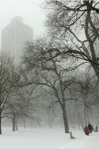 Winter, Chicago, Illinois (USA)
