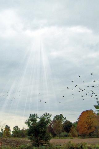 Landscape, Indiana (USA)
