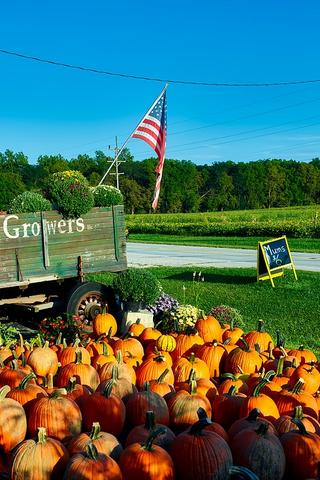 Roadside Market, Indiana (USA)