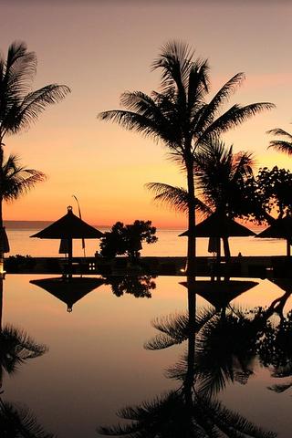 Bali, Palm Trees at Sunset, Indonesia