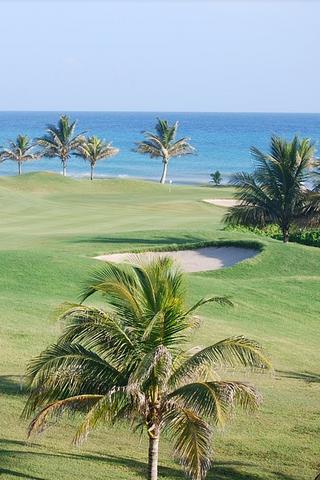 Golf Course, Jamaica