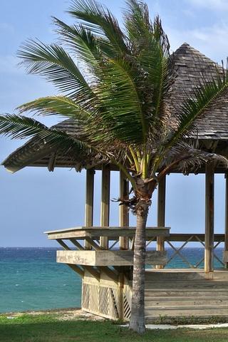 Beach Hut, Jamaica 