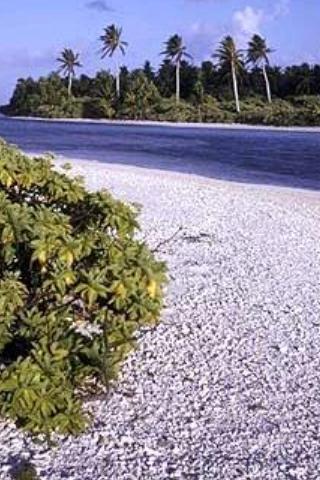 Atoll, Kiribati 