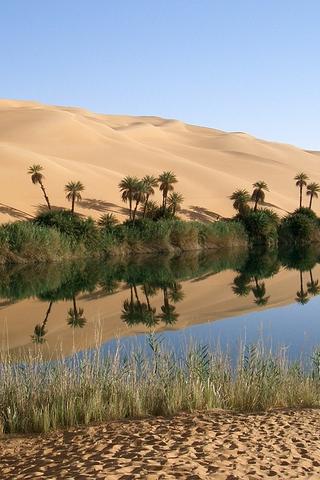 Desert Oasis, Libya #philrickphotos